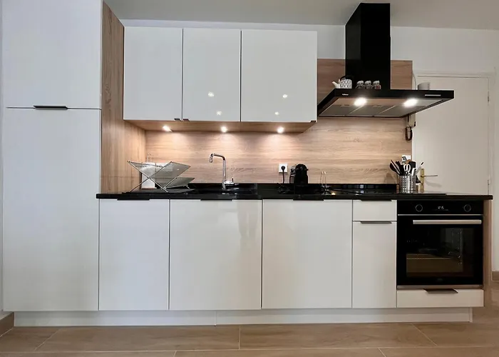 Lumineux 2 Pieces, Coeur De Saint-jean-de-luz, Proche Et Commerces, Avec Wifi - Fr-1-239-1002 *